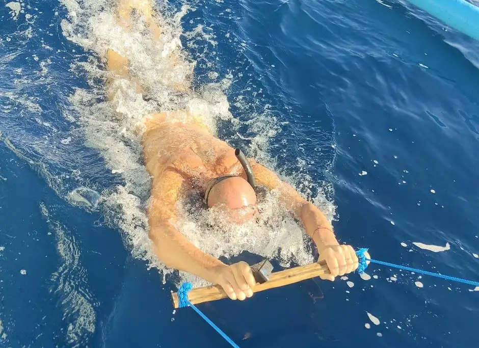Lovina nuotare con i delfini